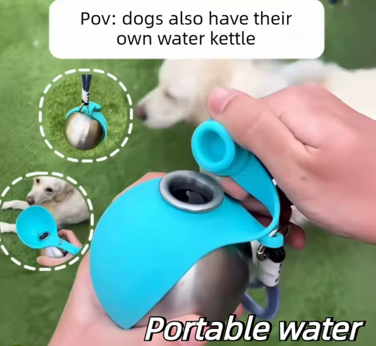 Portable Stainless Steel Pet Water Bottle