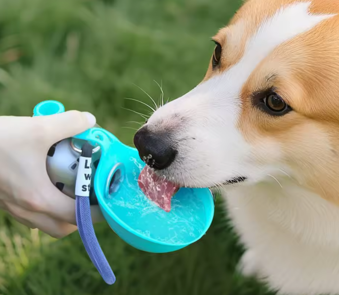 Portable Stainless Steel Pet Water Bottle